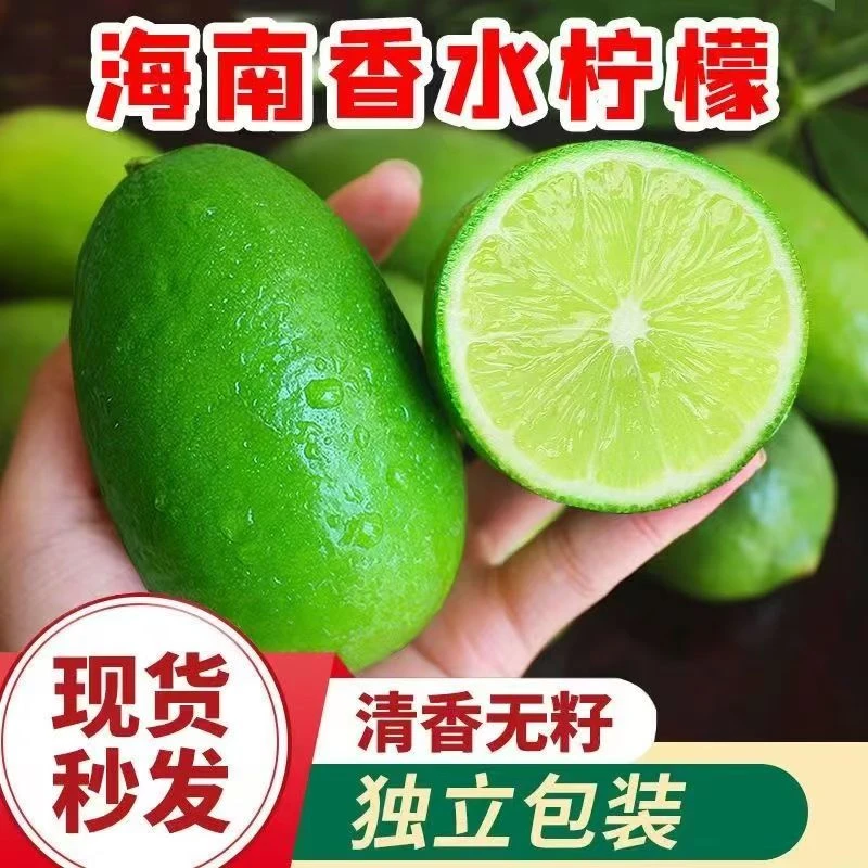 海南无籽香水柠檬青柠檬金桔奶茶店暴打专用新鲜当季批发