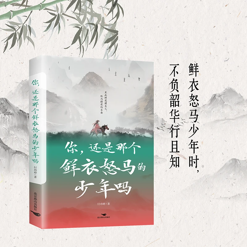 你，还是那个鲜衣怒马的少年吗