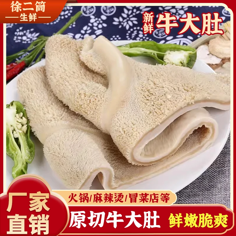 精品牛大肚火锅串串食材整个牛肚商用半成品新鲜冷冻鲜牛杂金钱肚