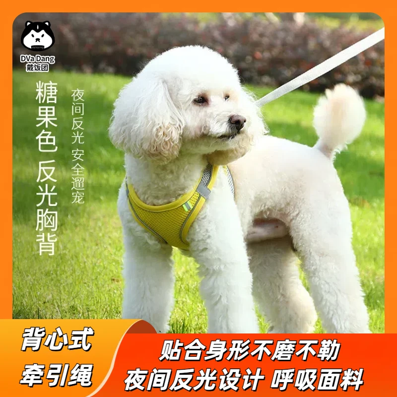宠物牵引绳背心式透气反光遛狗链狗狗新款泰迪比熊猫咪网红链