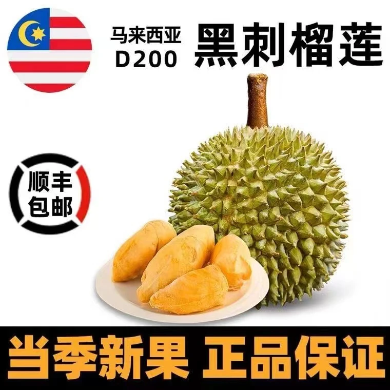 马来西亚D200黑刺液氮冷冻榴莲