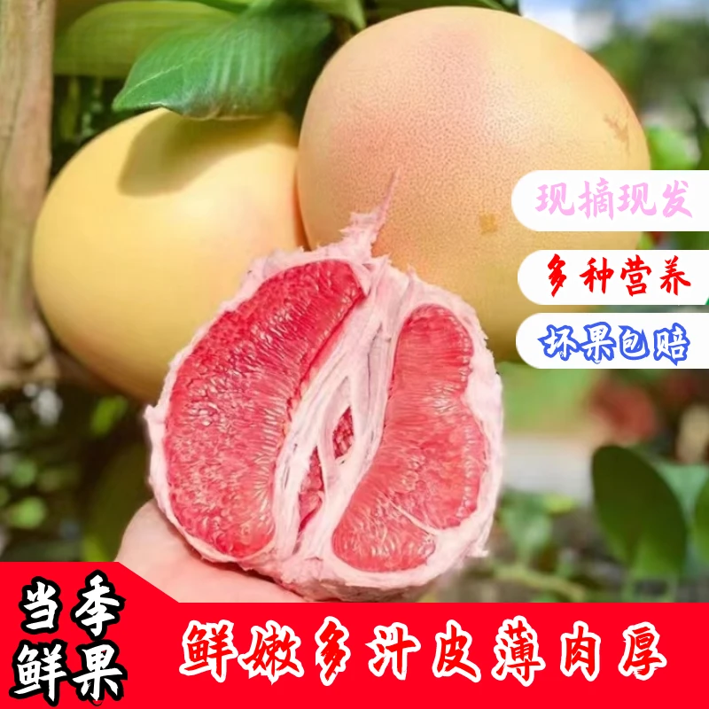 【红心蜜柚.】平和琯溪蜜柚新鲜采摘皮薄多汁2-10斤香甜爆汁浓郁