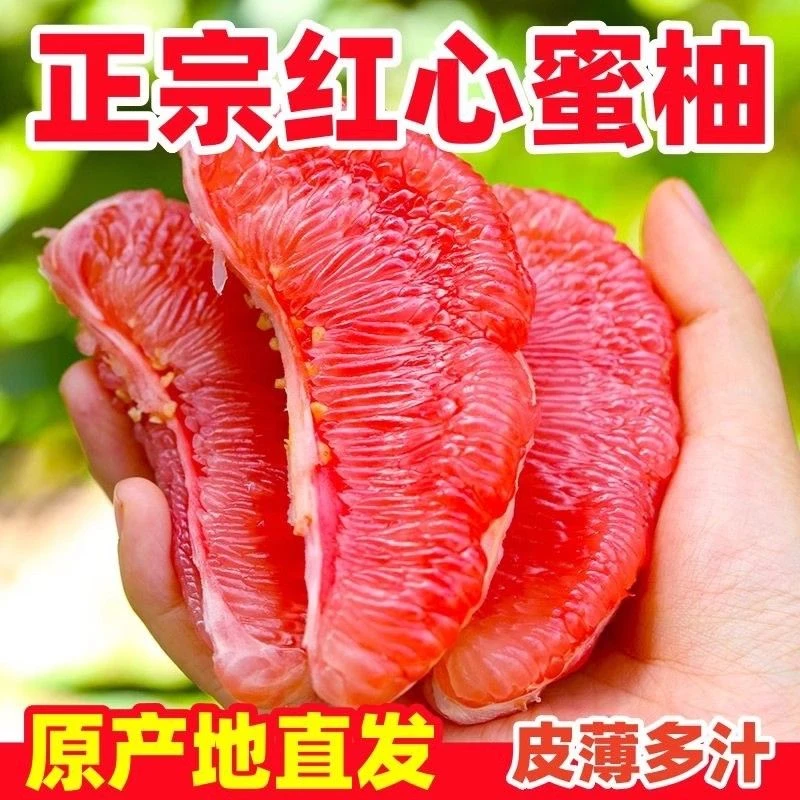 【果园现摘】柚子红肉柚子平和红心蜜柚新鲜应季水果香甜饱满多汁