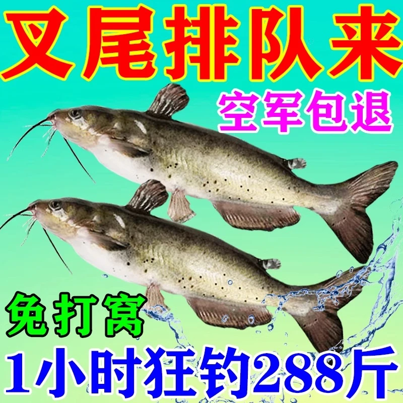 钓鱼饵料怎么调野钓通杀钓鱼饵料爆款第一名钓鱼饵料一包搞定