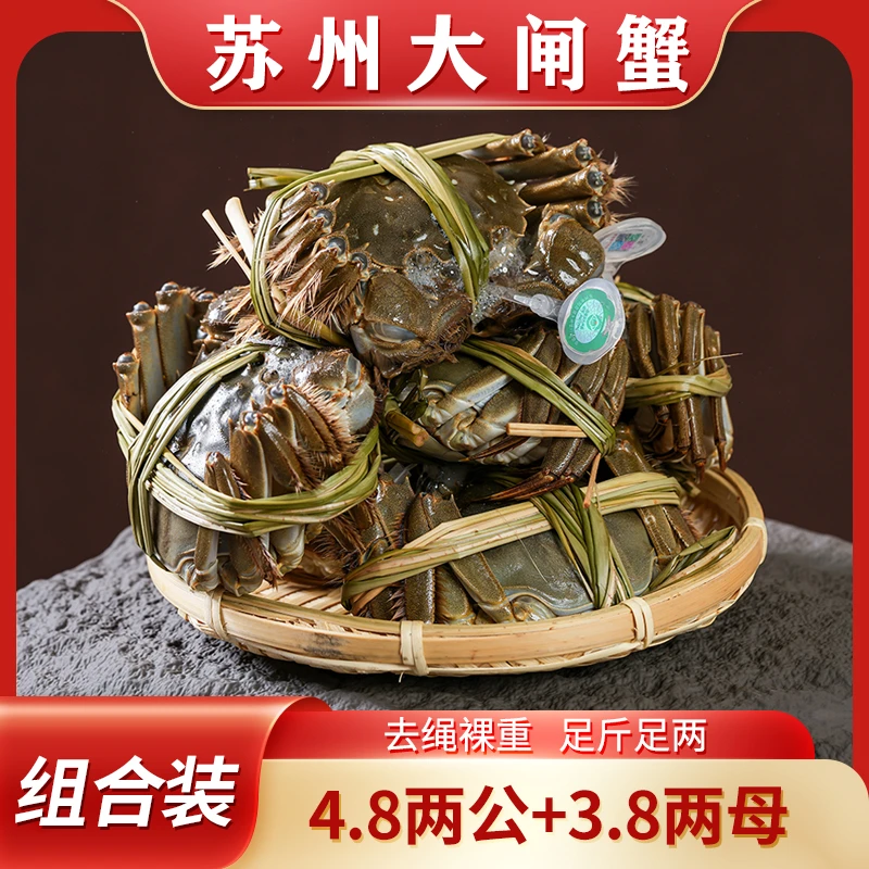 【活蟹】公母搭配大闸蟹（公4.8两+母3.8两）精品蟹苏蟹湖蟹8只/10只