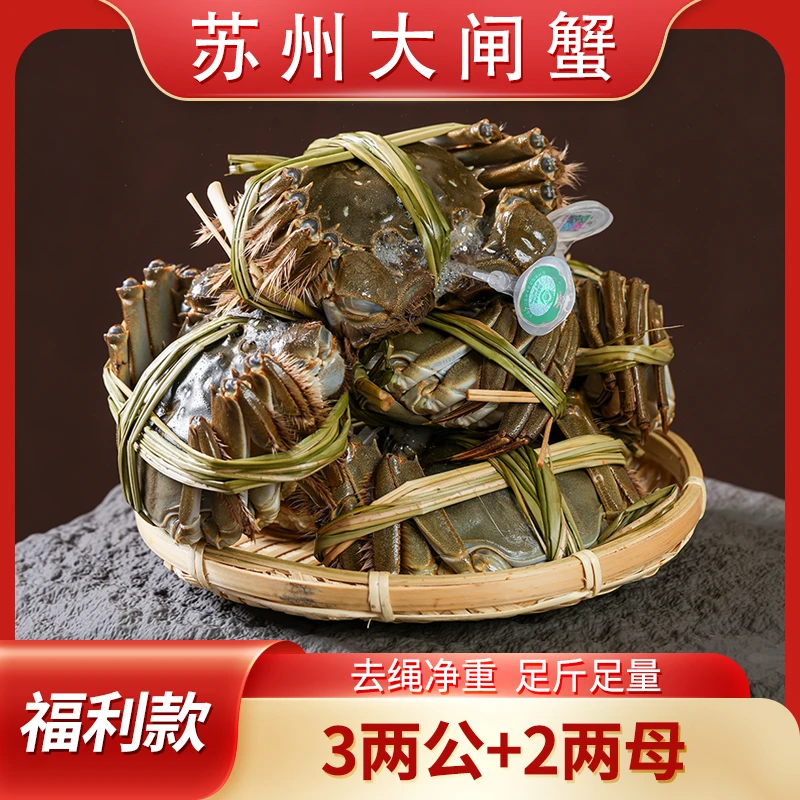 【新客福利】公母搭配（公蟹3两+母蟹2两）到手10只苏州大闸蟹湖蟹