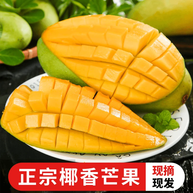 温暖的盒子甄选攀枝花椰香芒果