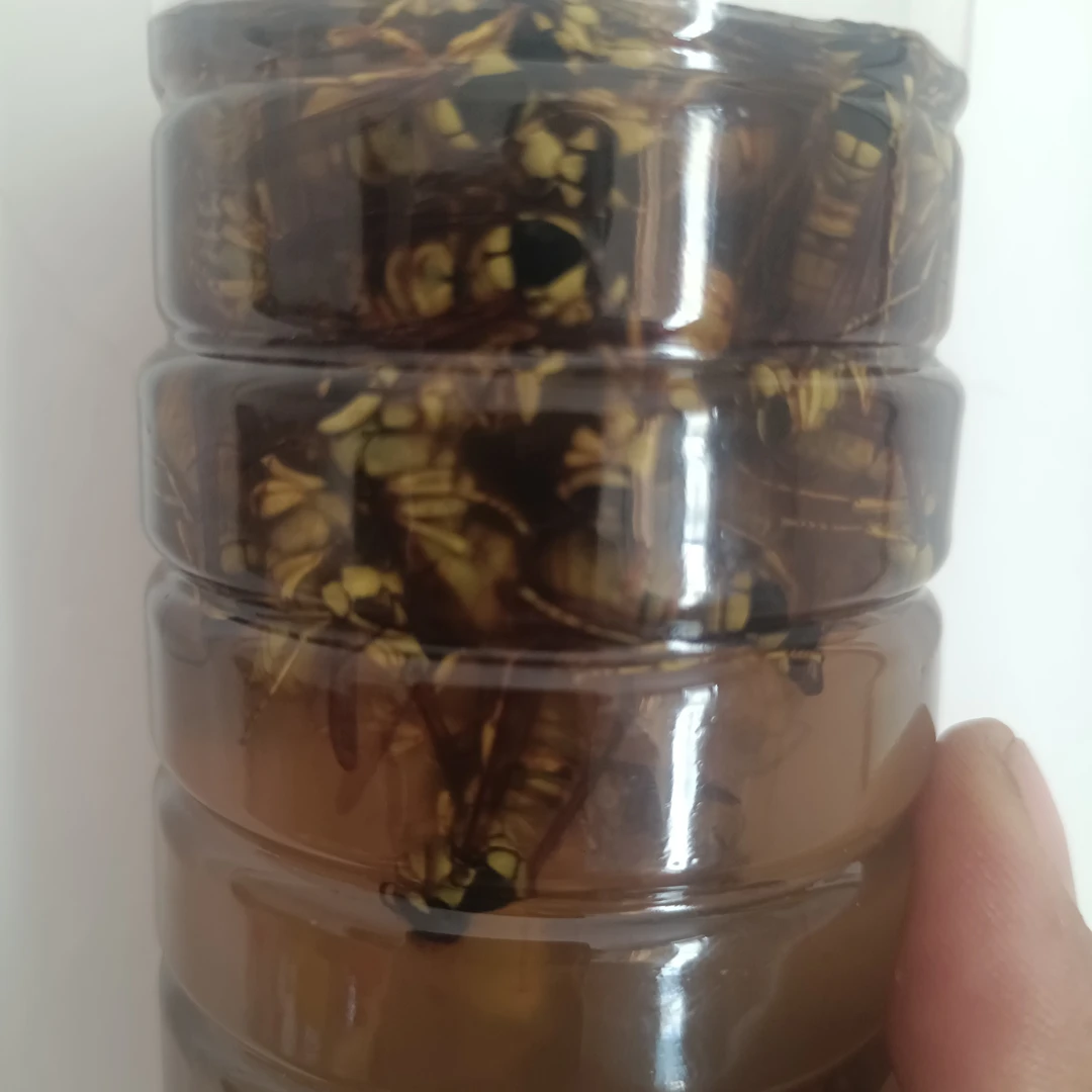 早期小美人蜂,一瓶约300只➕原液