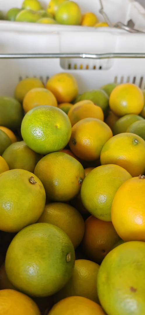 云南冰糖橙花斑果9斤装