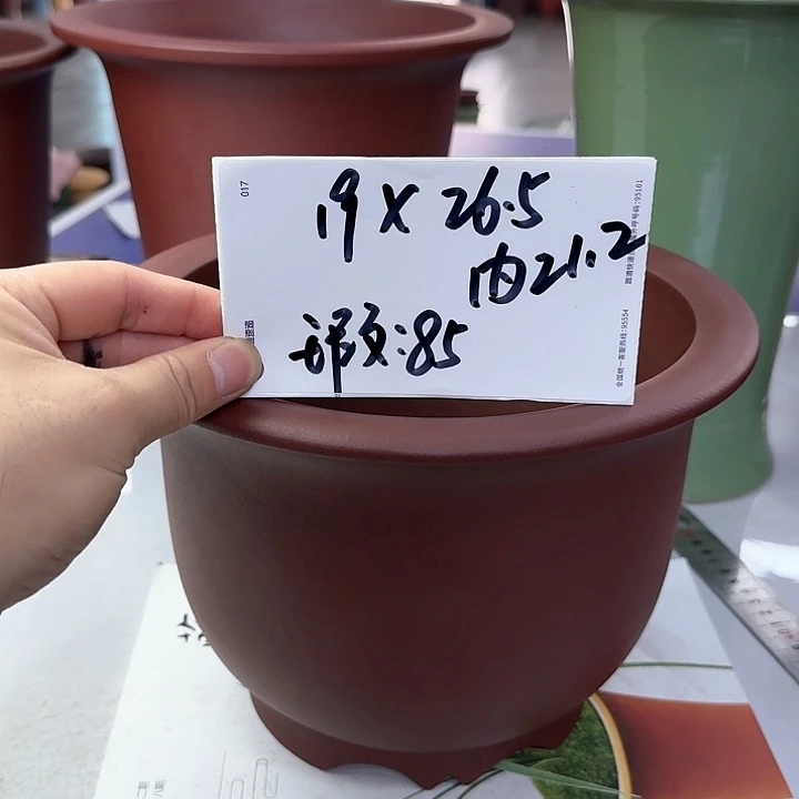 紫砂20CM（含）-50CM（不含）