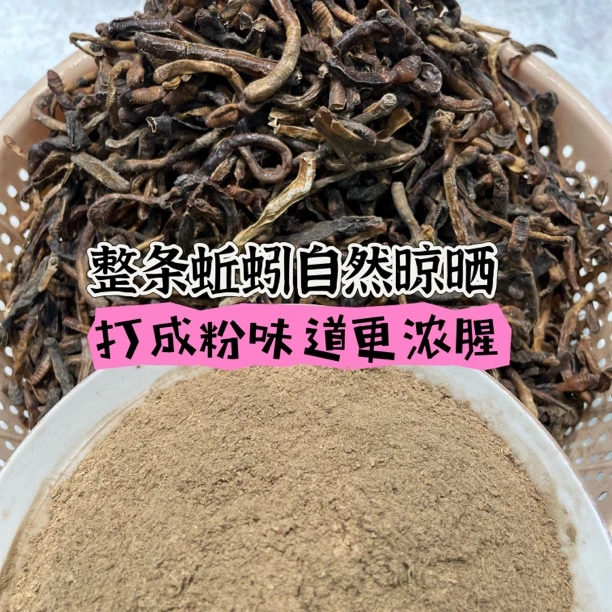 整条蚯蚓打粉野钓打窝泥鳅黄鳝钓鱼饵料添加剂浓腥味重