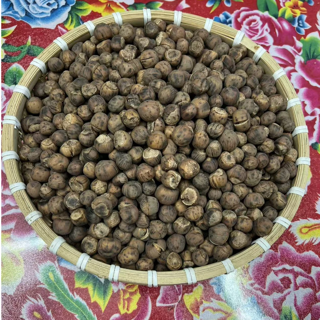 东北野生火榛子 大铁锅笨炒笨炒 东北榛子  2斤  5斤