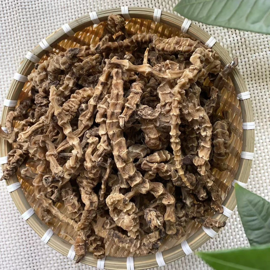 【彭彭现収】【山货-虫草参】滋补营养品