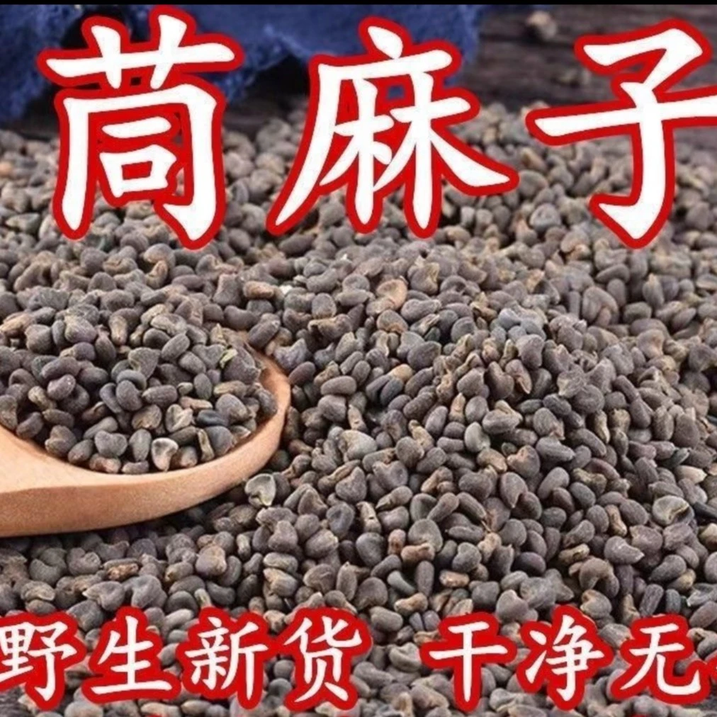 苘麻子麻果籽1000克磨盘果籽茼麻子苘麻子种子苘麻籽另售有决明子