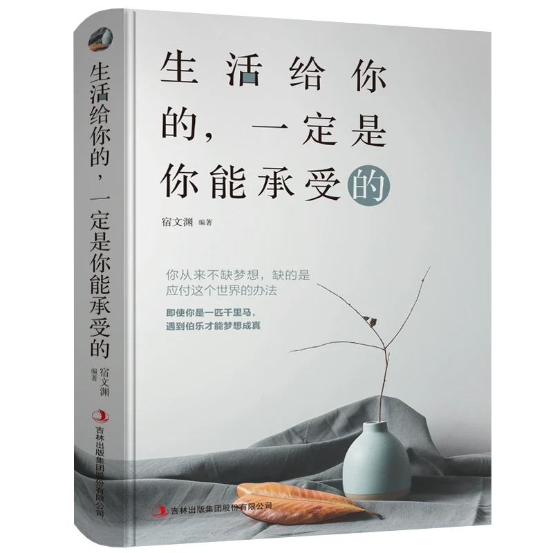 生活给你的,一定是你能承受的 励志正版书籍