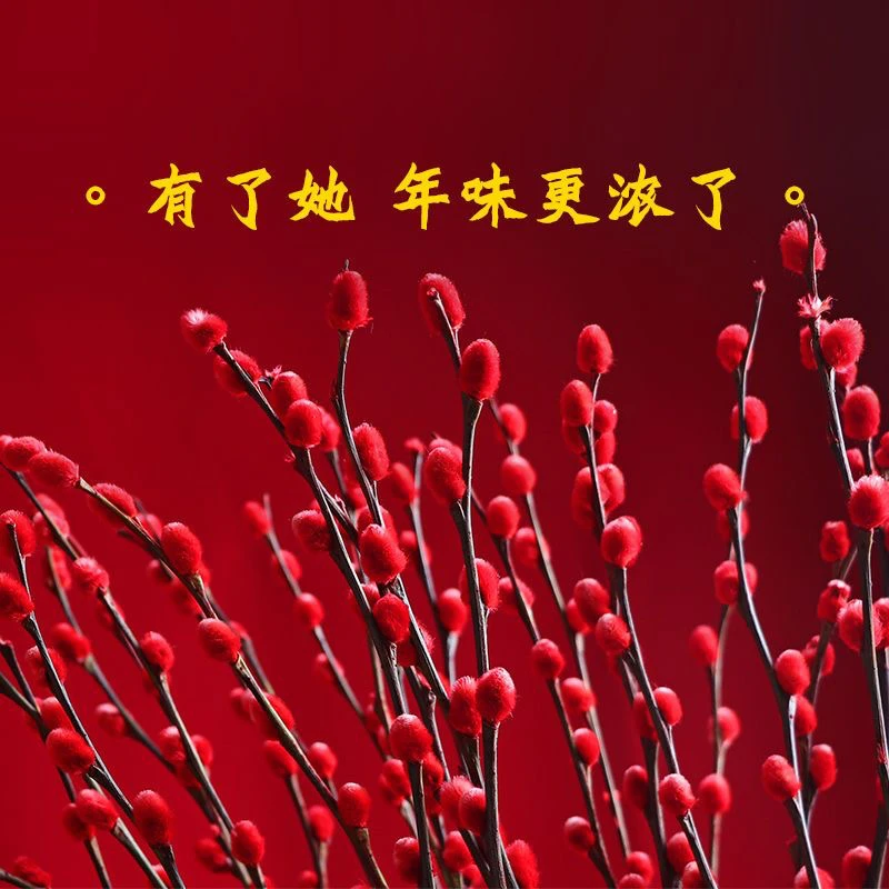 银柳干枝花红色银柳干花枝鲜枝干花鲜花真花红银柳年宵花卉居家