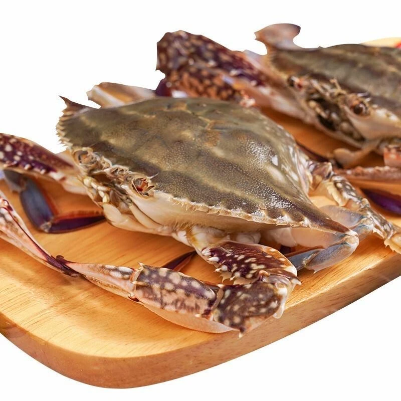 梭子蟹母蟹2/3斤 约4-6两/只【保鲜不保活】运输中个别断腿