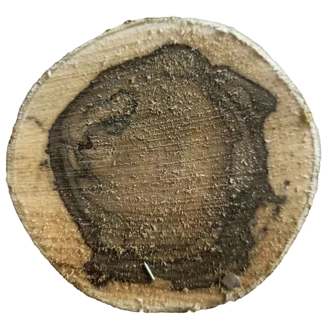 原木摆件  原木段 家居摆件