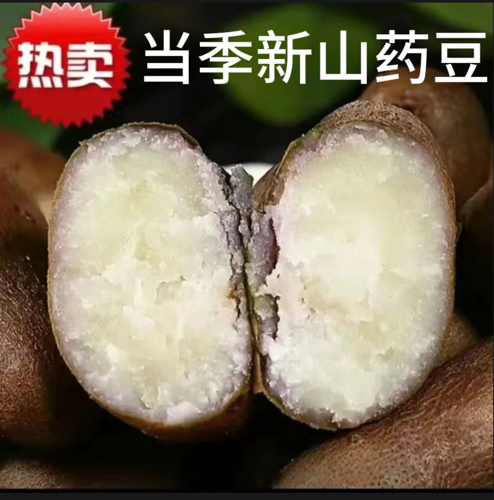 新鲜铁棍山药豆糖葫芦专用软糯粉面老人小孩都能吃营养价值极高