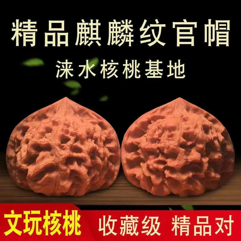 麒麟纹官帽大尺寸官帽,男士霸气文玩核桃手把件,核农一手货源