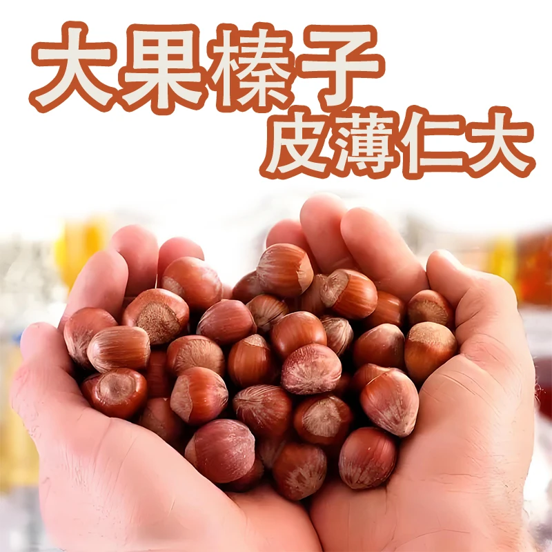 【新鲜炒制】铁岭开原大果榛子达维榛子今年新货