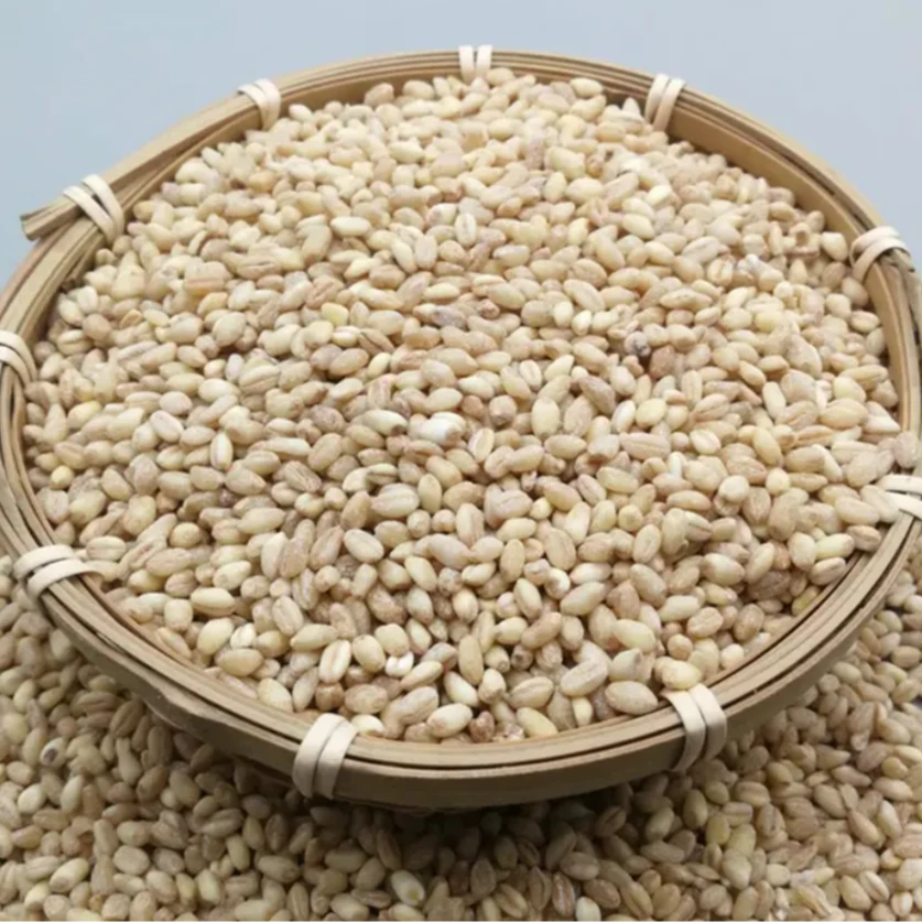 【脱皮土麦子】重庆土麦子老品种麦子麦香足好吃煮粥