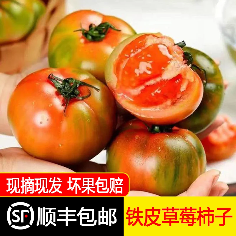 东北铁皮/草莓西红柿新鲜现摘酸甜水果绿腚西红柿3/5顺丰包邮