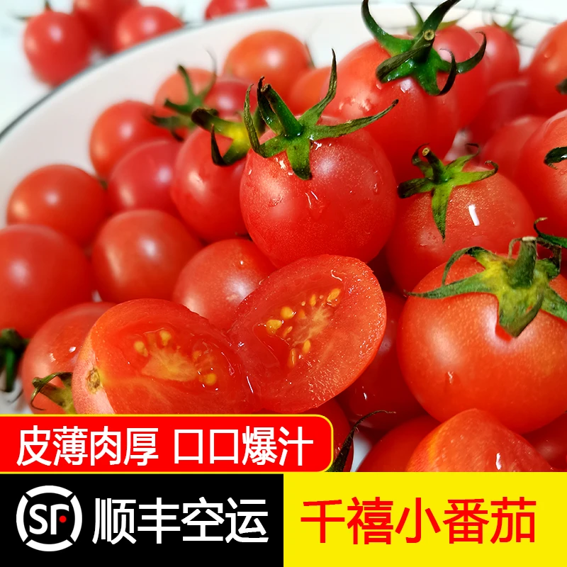 【顺丰空运】正宗新鲜牛奶柿子2斤小番茄当季现摘孕妇水果