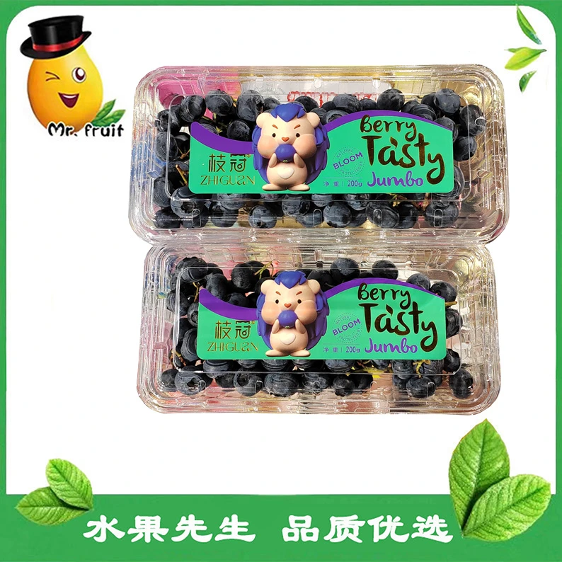 【水果先生】枝冠蓝莓/盒 颗粒饱满 甜脆爆浆 果粉丰足