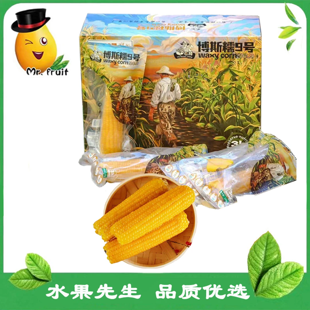 【水果先生】博斯糯9号玉米/件