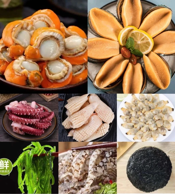 生鲜大礼包16包（扇贝2鲍2花甲2须2牛角花2鱼皮海藻紫菜）