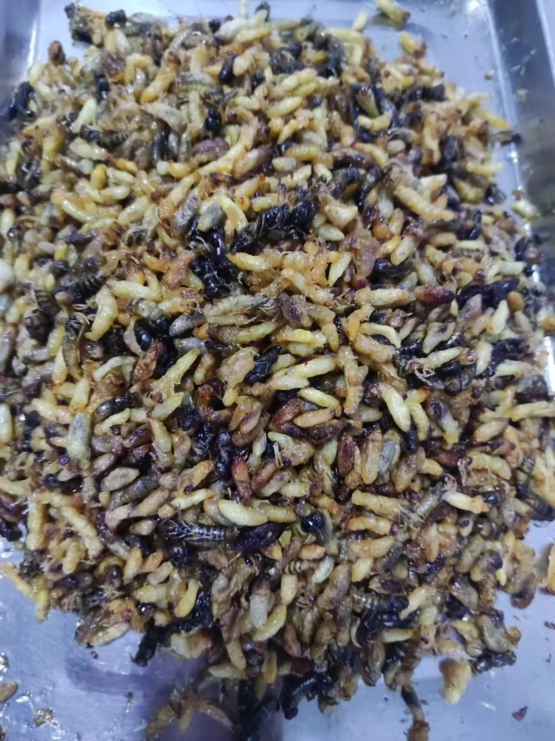 青米红米蜂油炸蛹一级二级三级四级混合蛹