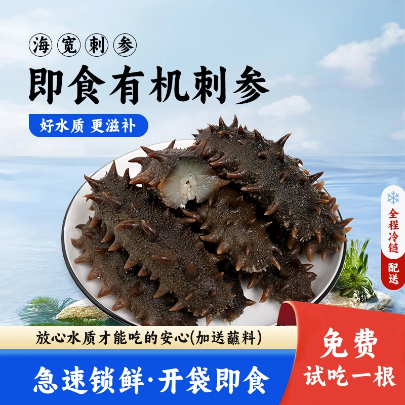 海宽即食海参一斤装正宗底播有机刺参天然