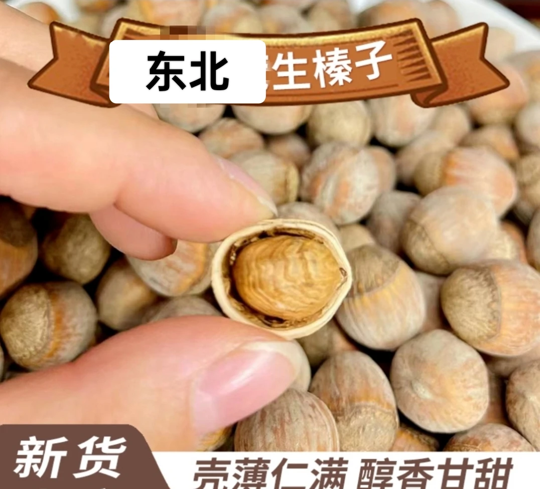 晒干的大果榛子（生）5斤送钳子