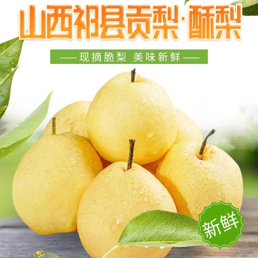 山西祁县酥梨贡梨   自产自销 带箱3—10斤