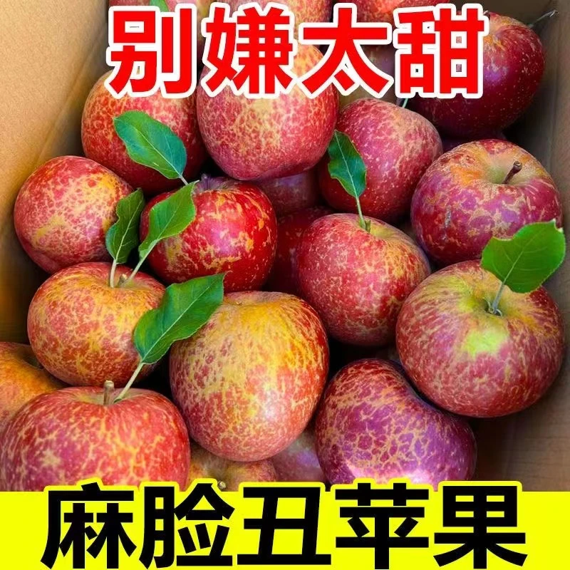 高山稀有丑苹果产地直发越丑越甜现摘现发孕妇当季新鲜整箱包邮