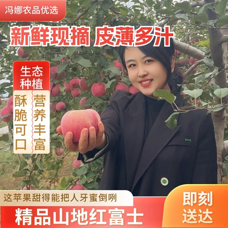 正宗陕西榆林清涧山地红富士苹果脆甜多汁当季产地直发