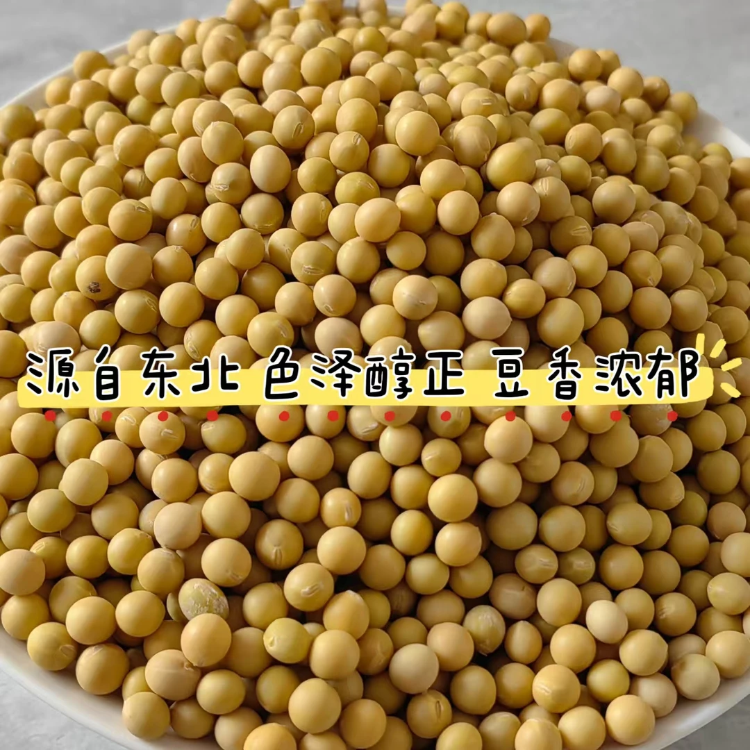 24年新豆非转基因黄豆东北海伦大豆生豆芽打豆浆做豆腐娟子姐家豆