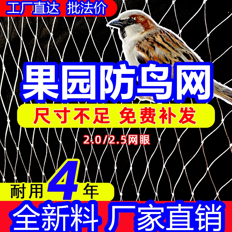 防鸟网新款防小鸟冰雹大棚蔬菜养殖果园专用防护天网厂家直销批发