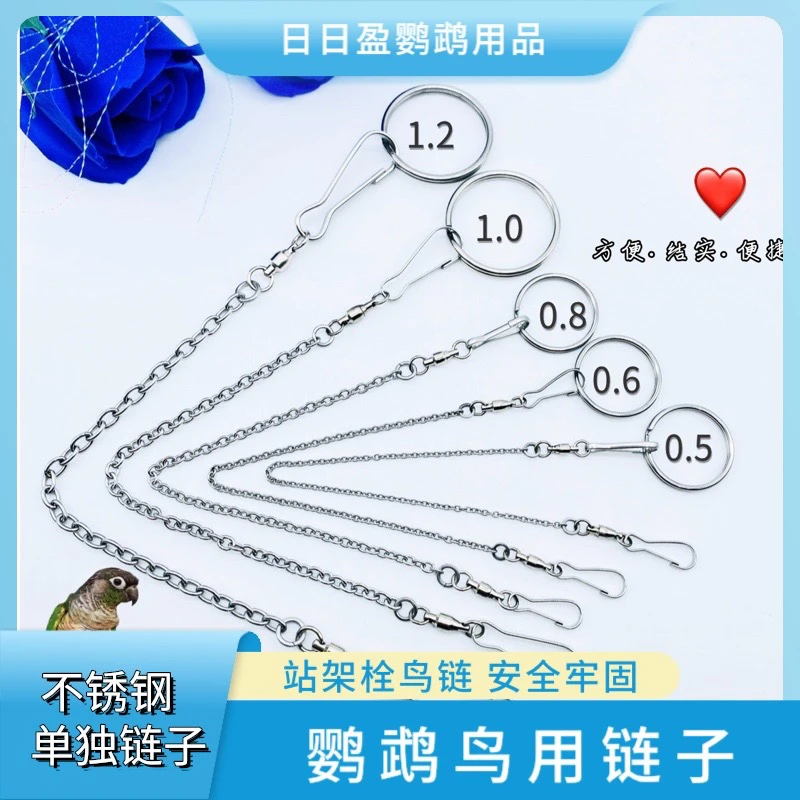 鹦鹉链子玄凤脖圈虎皮牡丹小太阳和尚脖套外出牵引绳鸟链不锈钢链