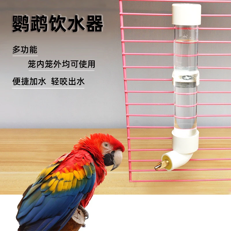 鹦鹉饮水器撞针喝水壶大号自动喂水器小中型鸟用饮水器喝水器用品