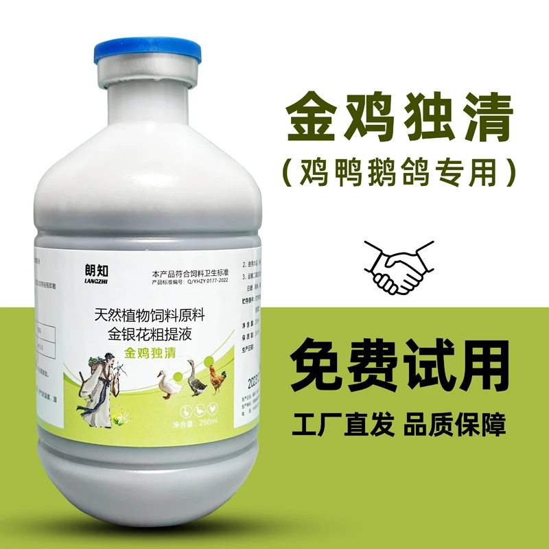 金鸡独清鸡鸭鹅鸡瘟新城疫小鹅瘟金银花抗病毒流泪喷嚏甩鼻肿脸