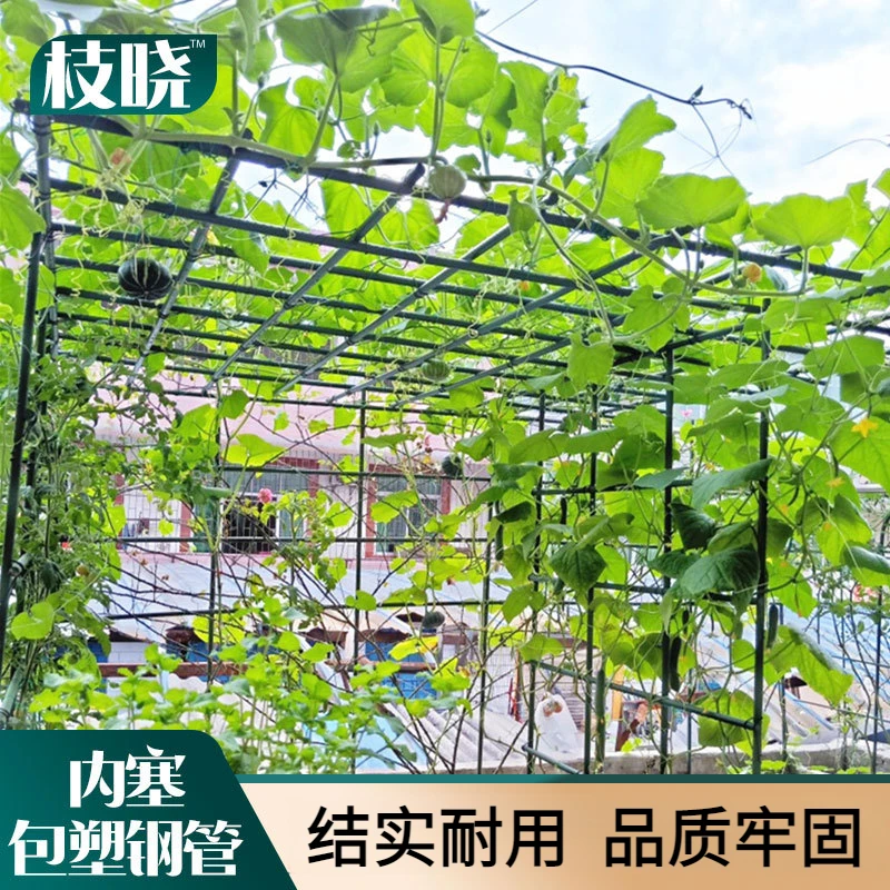 园艺葡萄架爬藤花架组装支架黄瓜丝瓜豆角月季植物户外庭院攀爬架