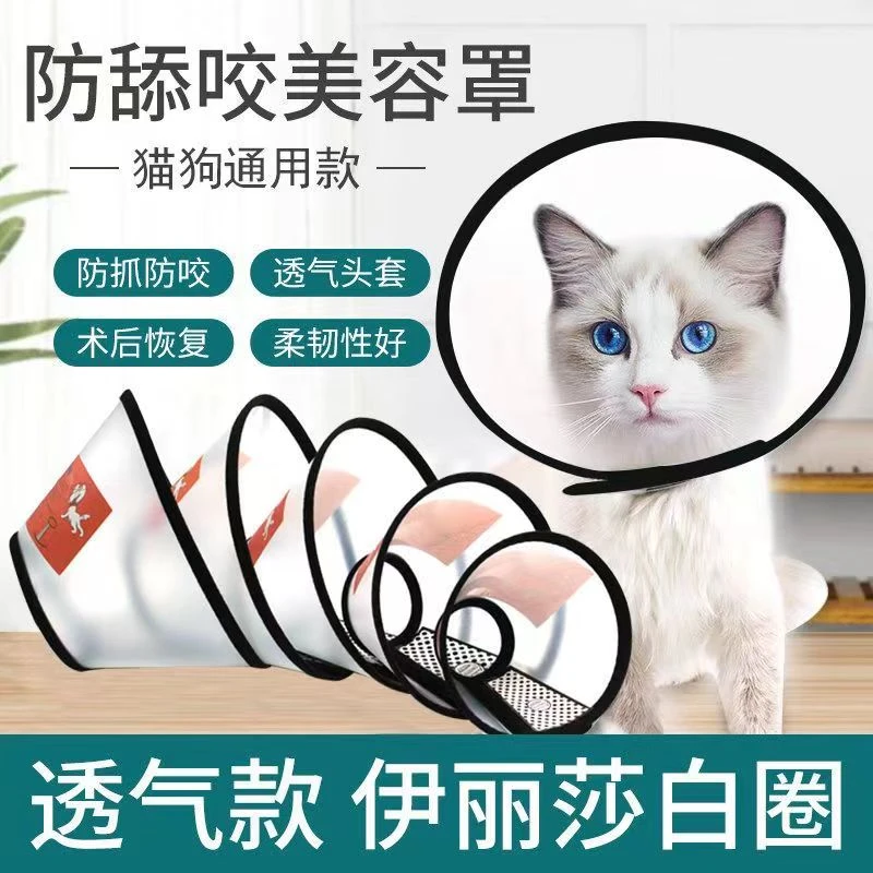 伊丽莎白圈狗狗猫咪项圈防舔防咬耻辱圈宠物头套头罩用品通用