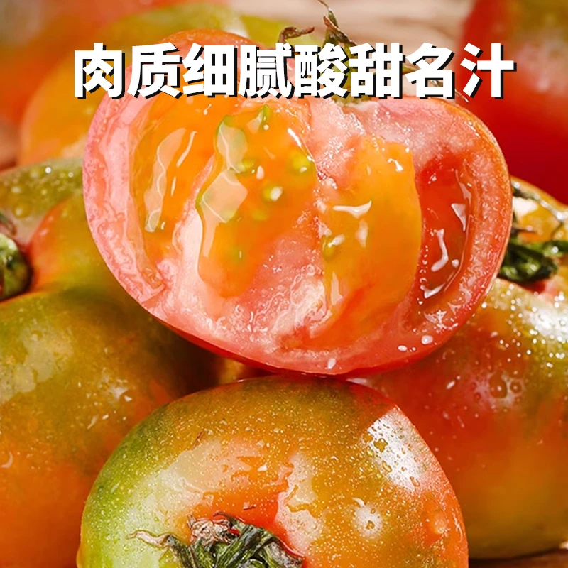 【顺丰包邮精品试吃】铁皮草莓柿子新鲜西红柿生吃番茄东北碱地特产