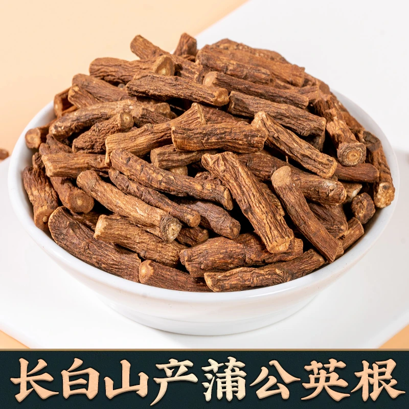 蒲公英根茶正品正宗中药材官方旗舰店长白山炒干货浦公英茶根