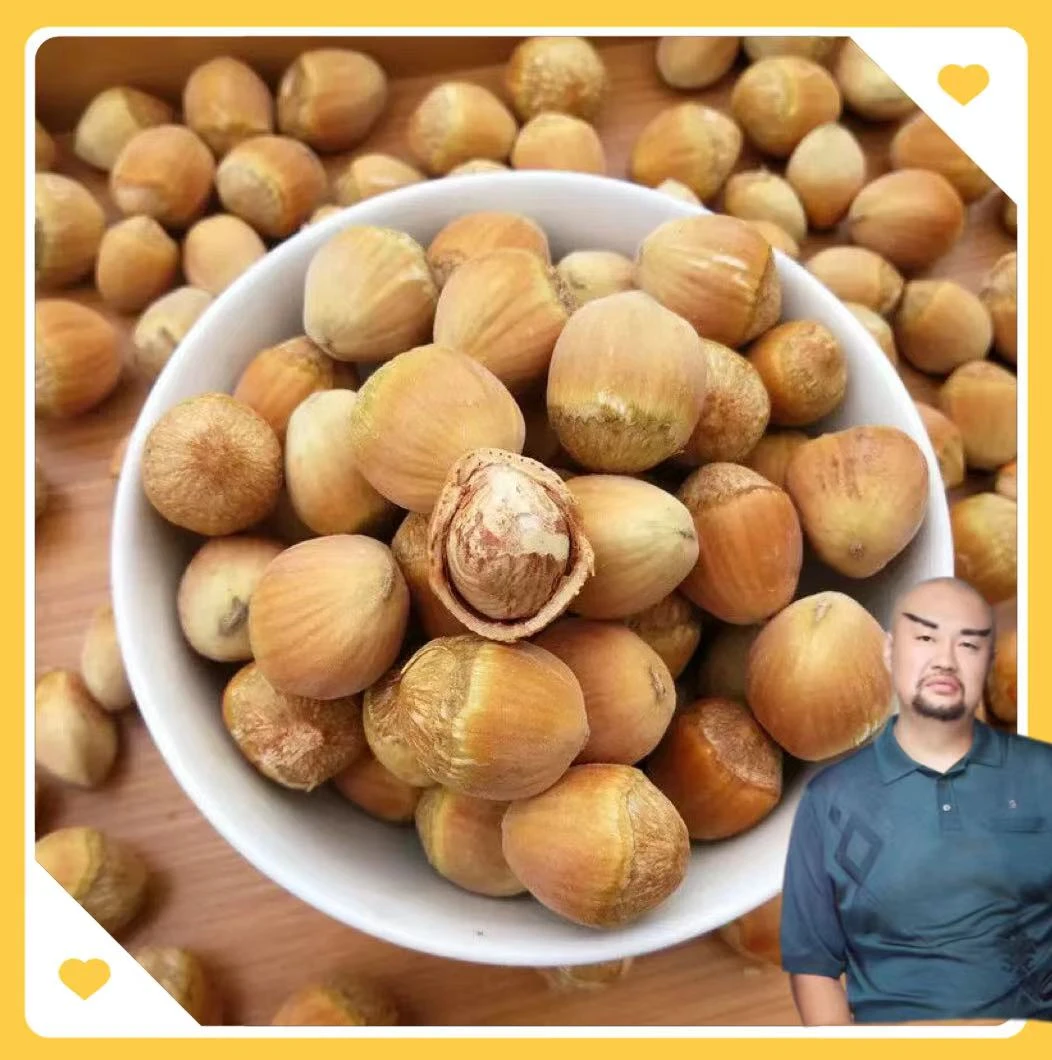脱皮通明山大果榛子5斤装送钳子1个
