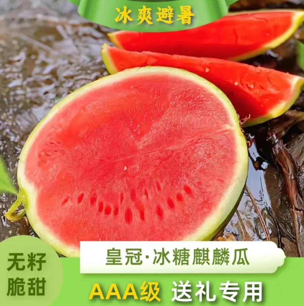 【无籽】美都皇冠冰糖麒麟西7-8斤左右（脆甜）