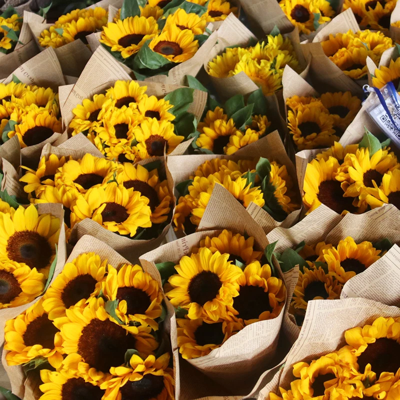 顺丰包邮 向日葵鲜花云南昆明基地直发斗南直批家用水养插花花瓶