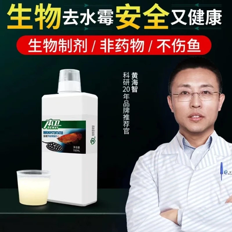玛豆本卫水霉病专治观赏鱼疾病治疗水族水霉鱼病预防